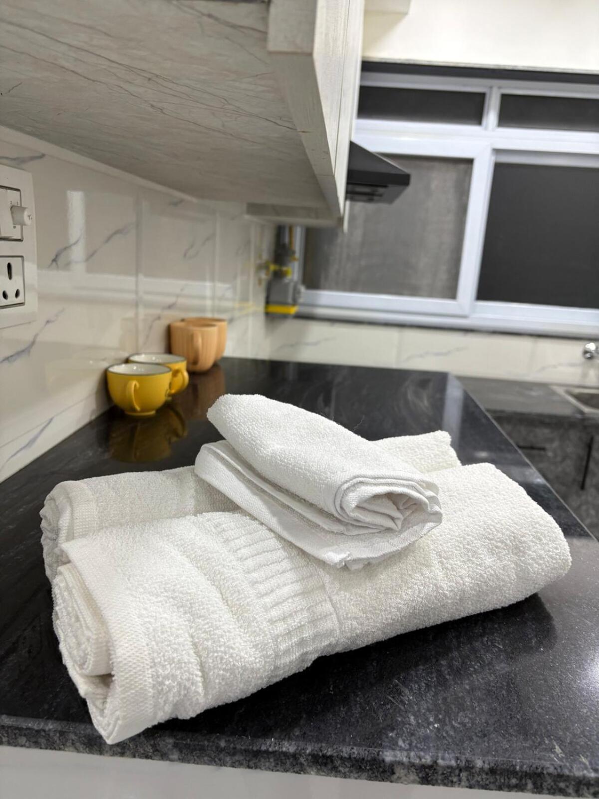 Elegant In Dlf Capitalgreens West Delhi Apartment